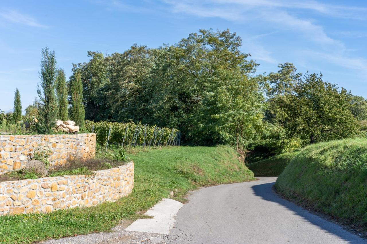 Ferienwohnung Castellberg Heitersheim Extérieur photo